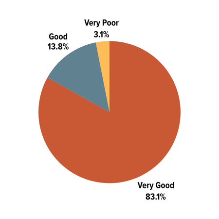 Client Satisfaction: Good: 13.8%; Very Good: 83.1%; Poor: 0%; Very Poor: 3.1%